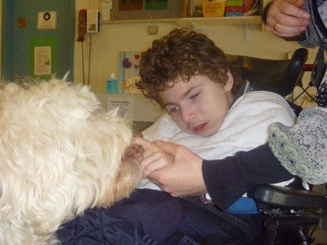 labradoodle op bezoek in het ziekenhuis